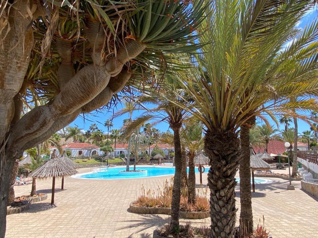 Bungalow Parque Golf By Sunhousescanarias Maspalomas  Eksteriør billede